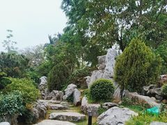 -东莞植物园