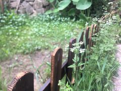 -远山有窑