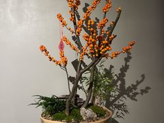 -云溪植物园