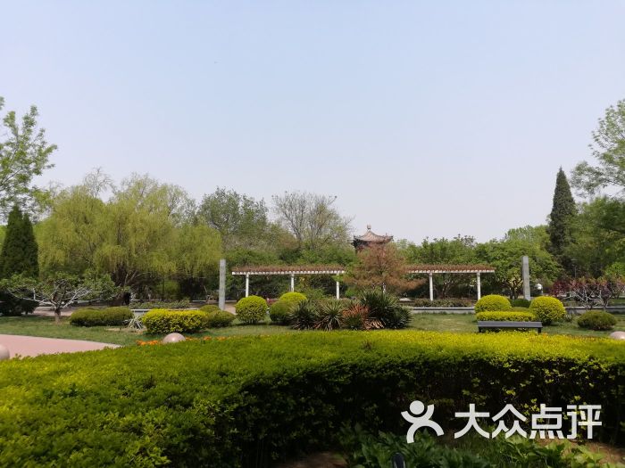 珠江公园-图片-天津周边游-大众点评网
