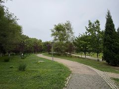 -莫子山公园