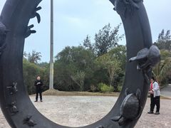 -广东惠东海龟国家级自然保护区