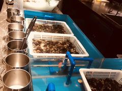 -星伦多自助料理·涮烤一体(虹悦城店)