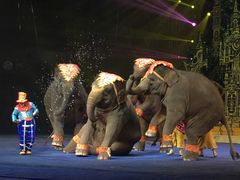 -广州长隆国际大马戏