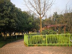 -嘉定紫藤园
