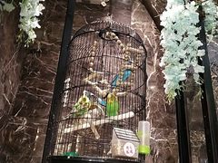 -雀蓝川菜(奥体广场店)