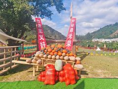 -吉姆冒险世界(蓟州店)