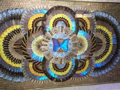 -上海昆虫博物馆