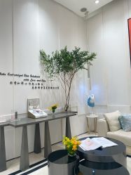 -奥斯芬欧系贵族SPA