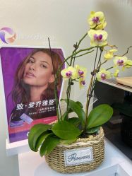 -海涛医疗美容·面部抗衰·注射美鼻