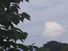 -福道