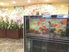 -潮喜竹溪荔湖酒家(荔枝湾店)