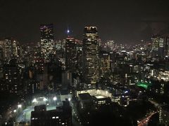 -东京塔海贼王主题公园
