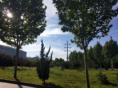 -东北大学(秦皇岛分校)
