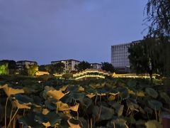 -西海子公园