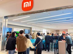 -小米之家汽车(永旺梦乐城店)