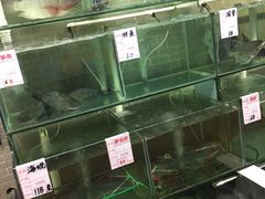 -祈胜邨•顺德鱼生•顺德菜(容桂店)