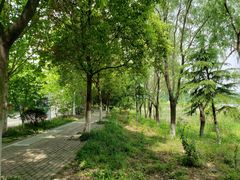 -南京金牛湖风景区