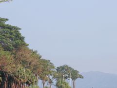 -深圳湾公园(南山区)