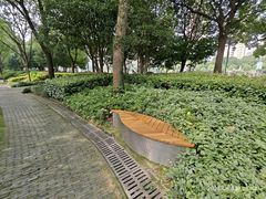 -陈家山荷花公园
