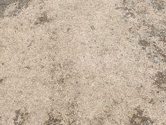 -嘉北郊野公园