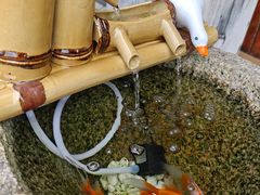 -小茶闲舍·观景商务茶馆(广州塔店)
