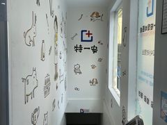 -特一安24小时宠物医院·骨科·中兽医