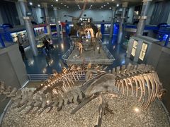 -国家自然博物馆