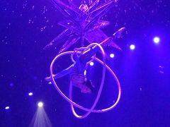 -珠海横琴长隆《卡卡虎奇遇记》