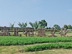 -嘉北郊野公园