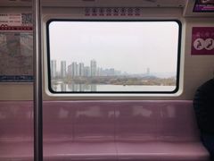 -灞河西岸滨河公园