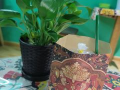 -泰茶清吾·老挝冰咖啡·绵绵冰(泉州首店)