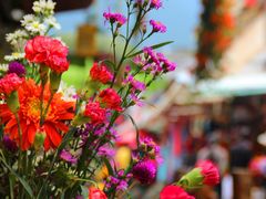 -崇圣寺三塔文化旅游区