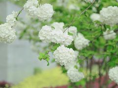 -大龙山(地铁站)