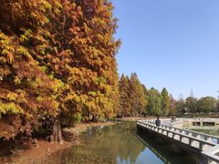 -白塘生态植物园