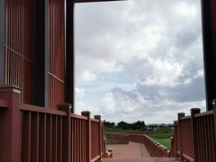 -芒洲湿地公园