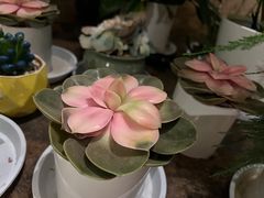 -火塘云南烧烤大排档