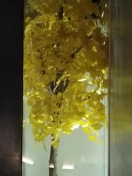 点击看大图 -美壹生诊所皮肤管理中心·海菲秀&Legacy美白舱