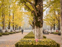 -百林公园-两江幸福广场