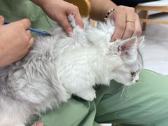 -邢大夫动物医院