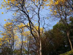 -广州市白云山风景名胜区