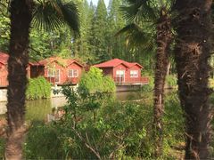 怡沁园度假村-上海怡沁园度假酒店