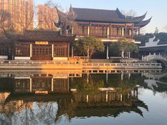 -红梅公园