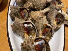 -海派美食·家宴海鲜青岛菜·石锅鲽鱼头(东方城店)