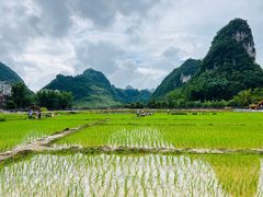-靖西鹅泉风景区