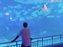 -烟台海昌鲸鲨海洋公园