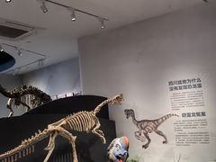 -自贡恐龙博物馆