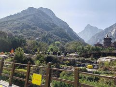 -禅宗少林·音乐大典