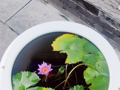 -西安市广仁寺