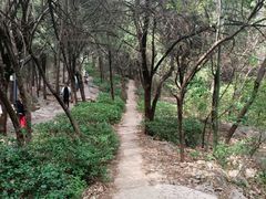 -云龙山